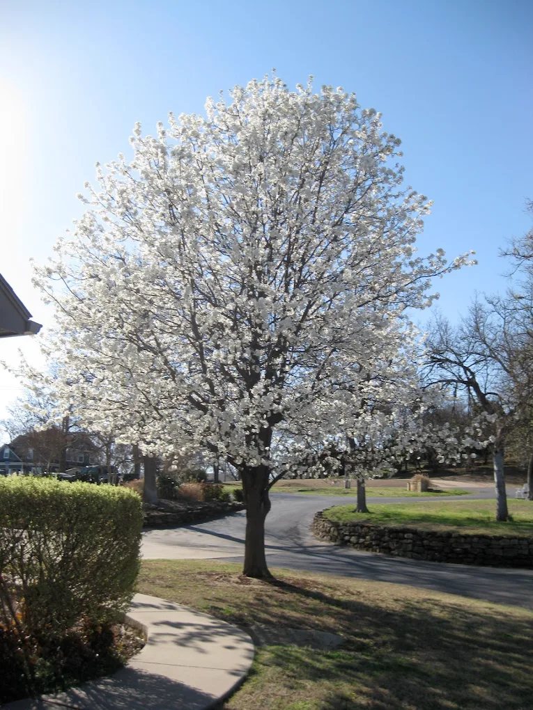 Activities at assisted living facility in Weatherford TX