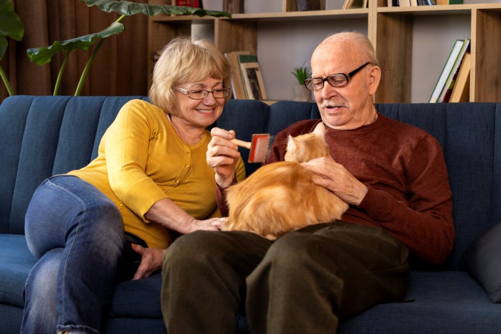 Assisted Living vs Independent Living